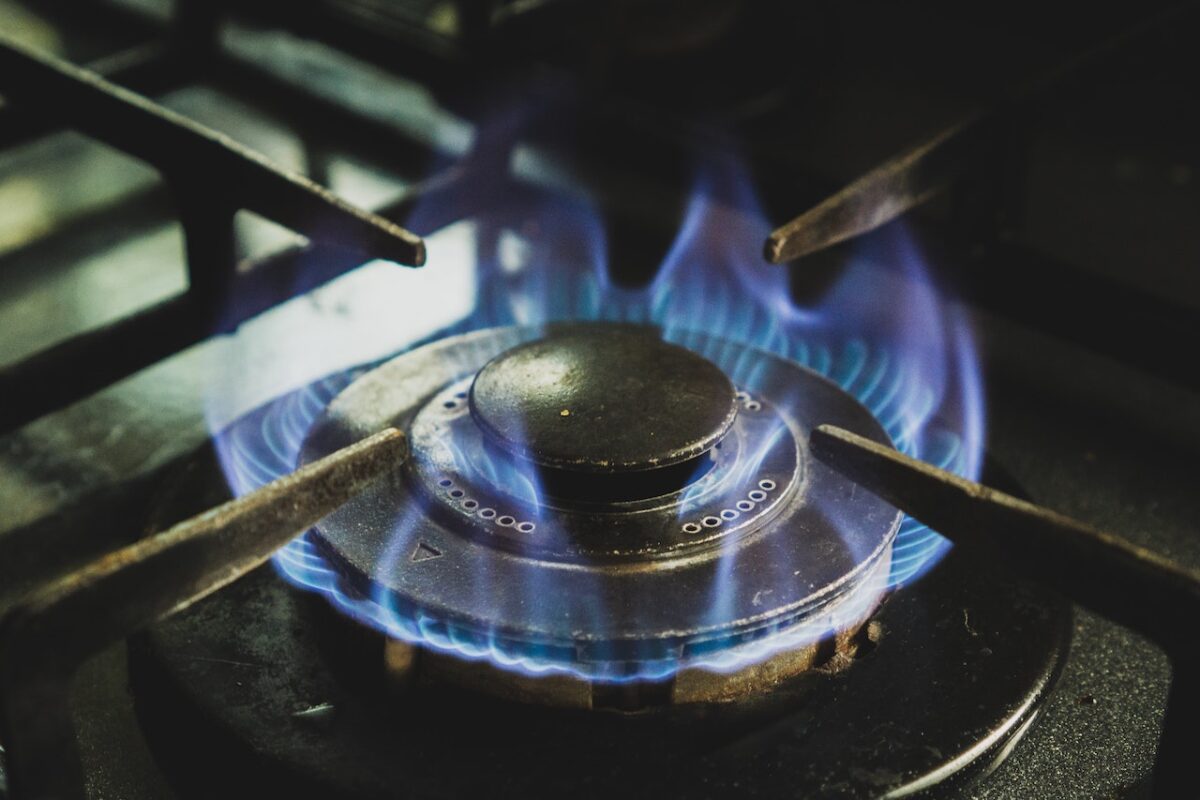 Gas hob burner